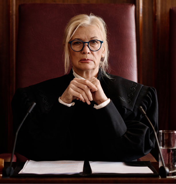 Litigation, Dispute Resolution